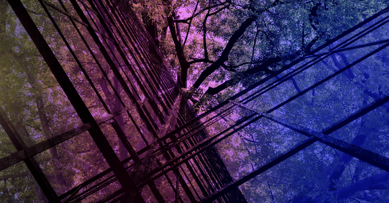 Publicité responsable, quelles actions concrètes pour les annonceurs ?